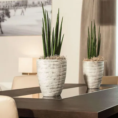 Wyndham Grand Conference Centre