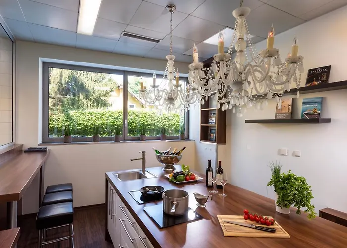 فندق ويندام جراند كونفرنس سنتر سالزبورغ